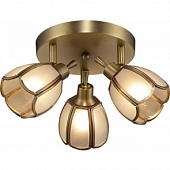 Спот ALTALUSSE INL-9317C-03 Golden Brass